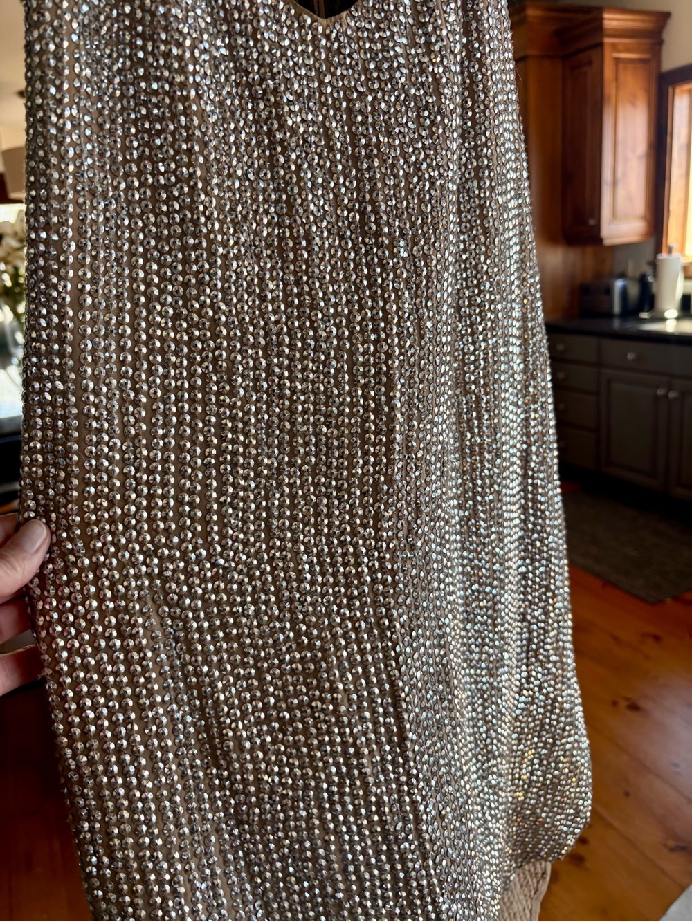 Haute Hippie Champagne Silver Sequin Embellished Slip Dress - Picture 7 of 14